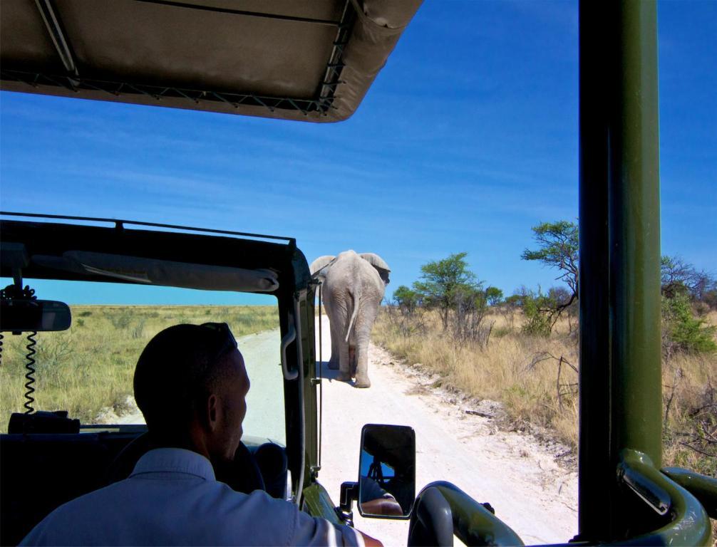 Mokuti Etosha Villa Намутони Екстериор снимка