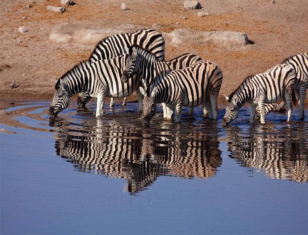 Mokuti Etosha Villa Намутони Екстериор снимка